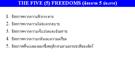 5_Freedom-1