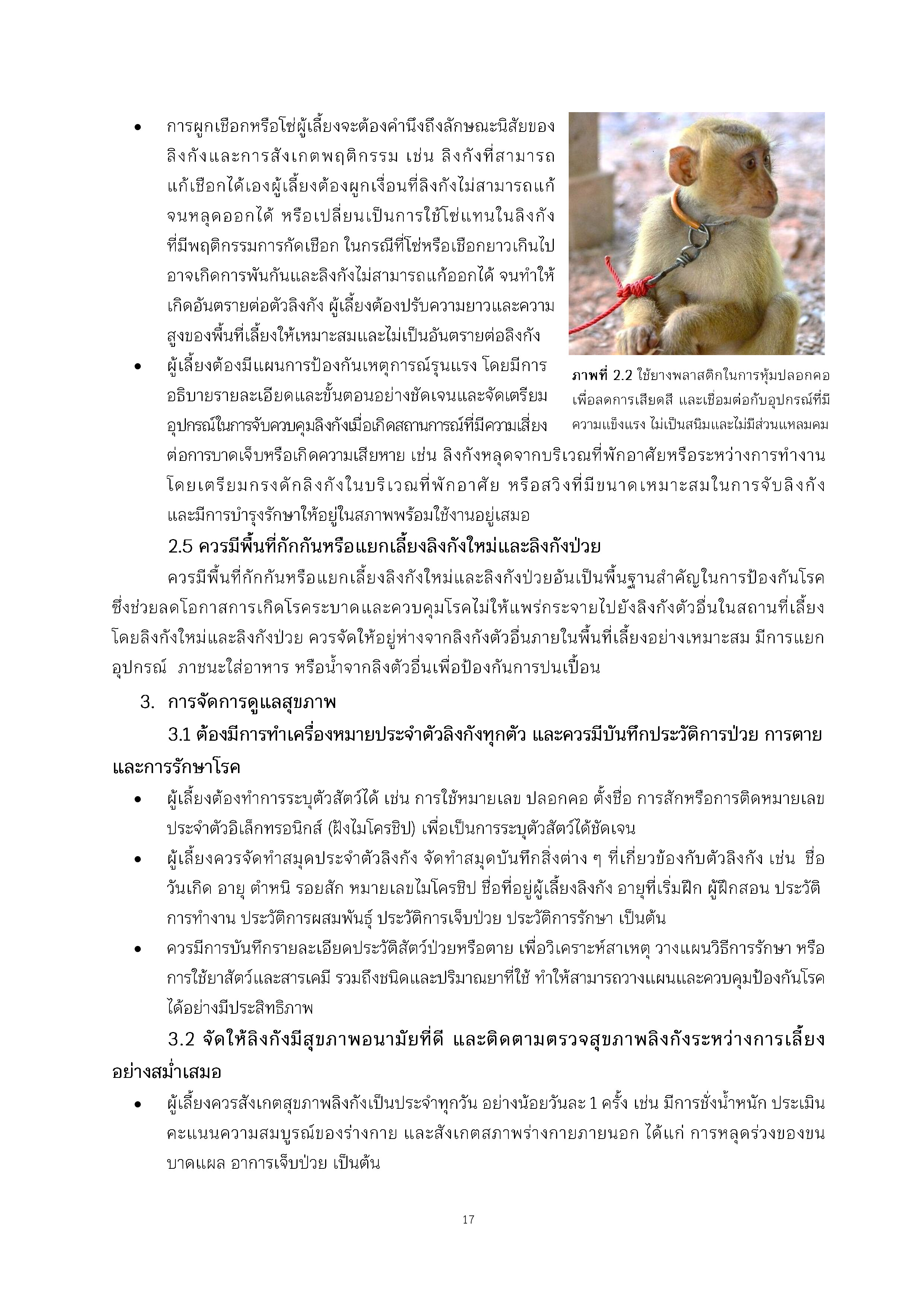 pig-tailed macaques thai_019