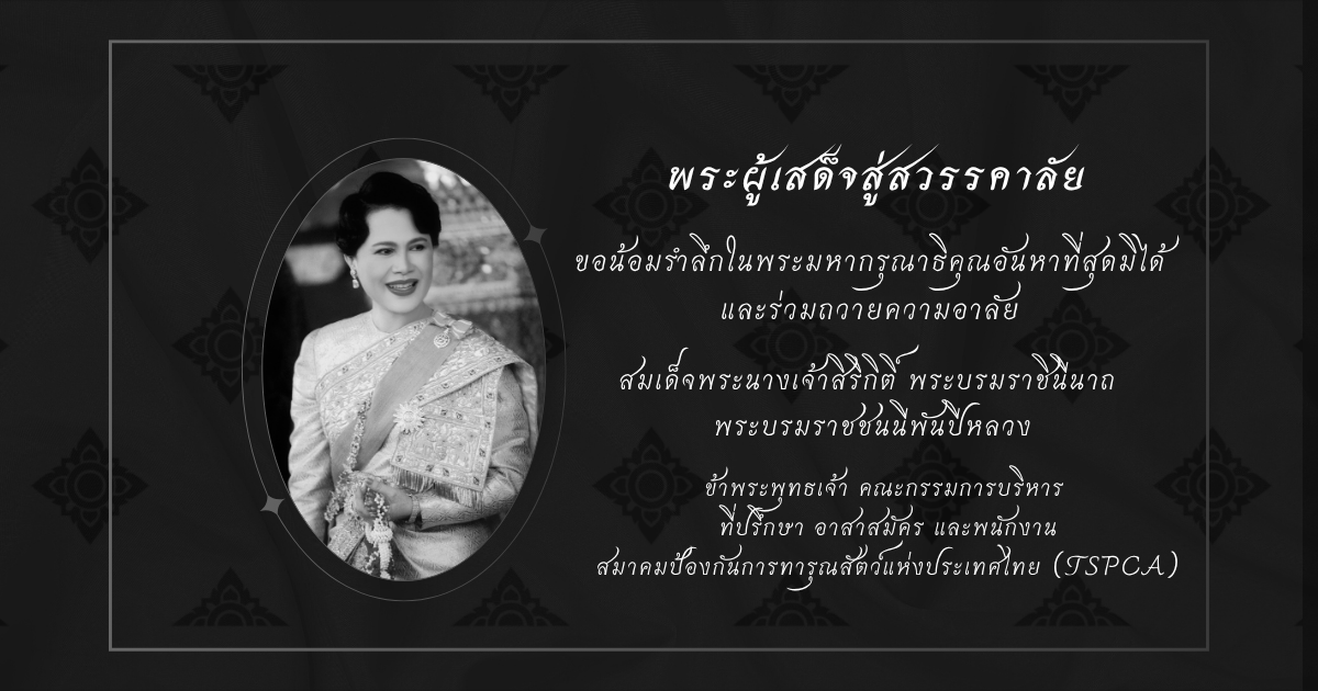 In Loving Memory of Her Majesty the Queen Mother.1